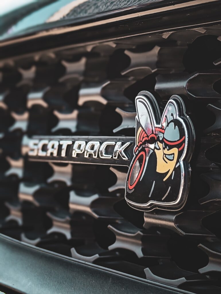 close up visual of Scatpack decal of Bee
