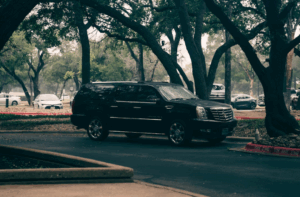 Cadillac Parked under Shade Tree