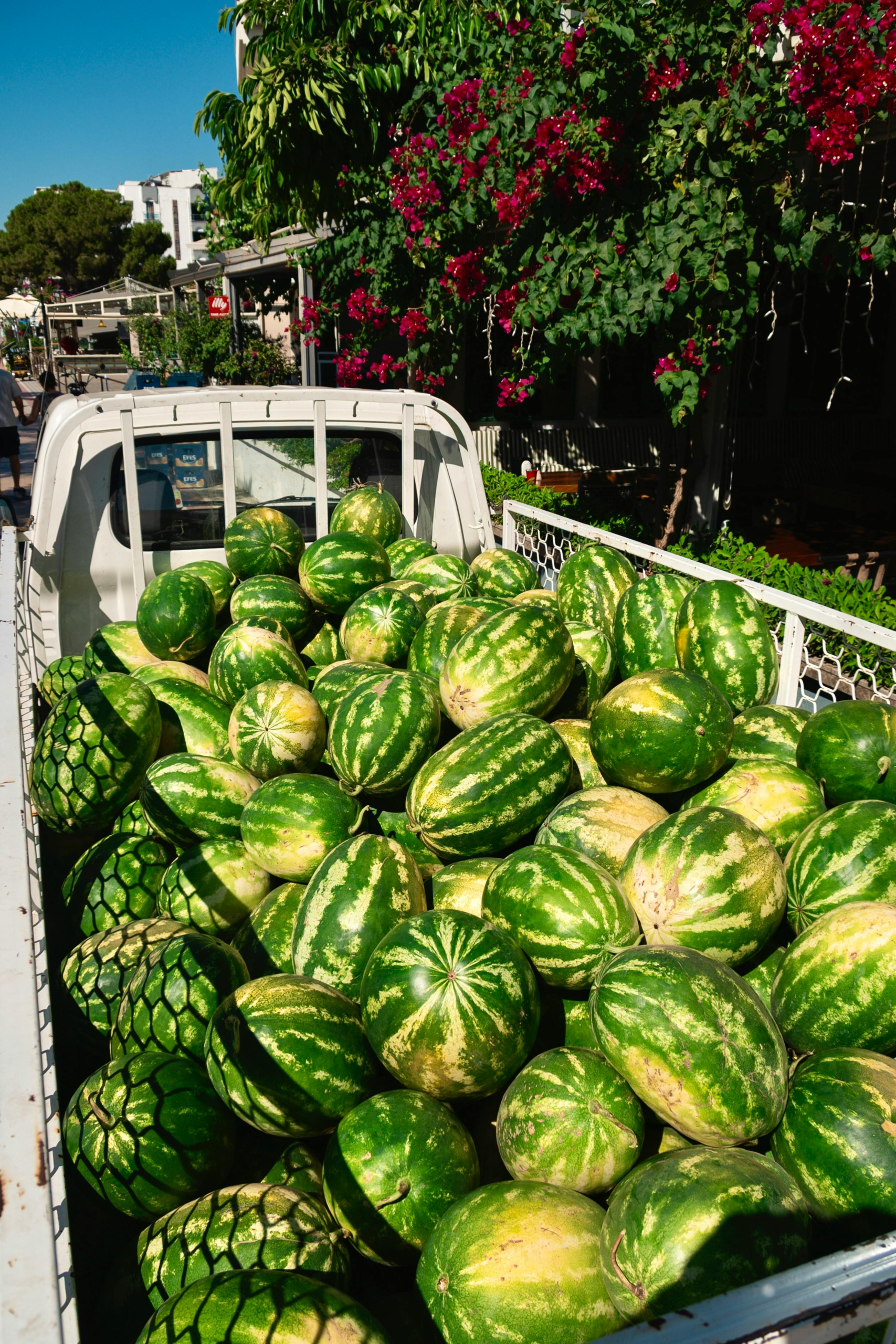 Watermelon Food Truck